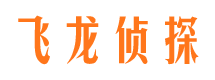 卢湾侦探调查公司